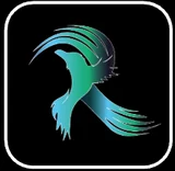 Raven app icon